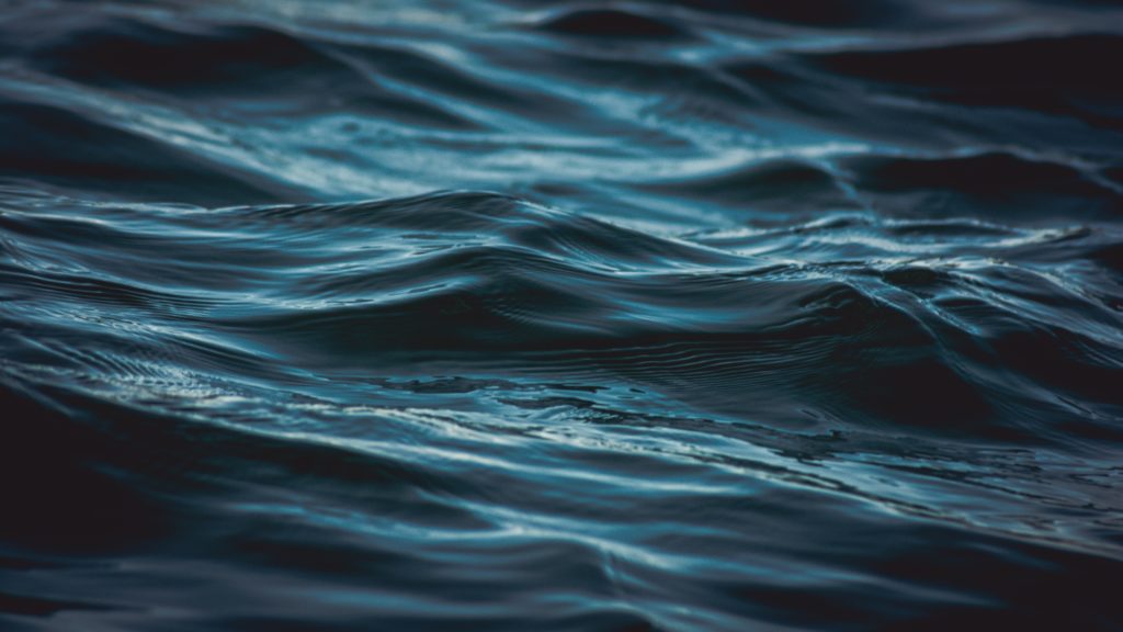 Wave